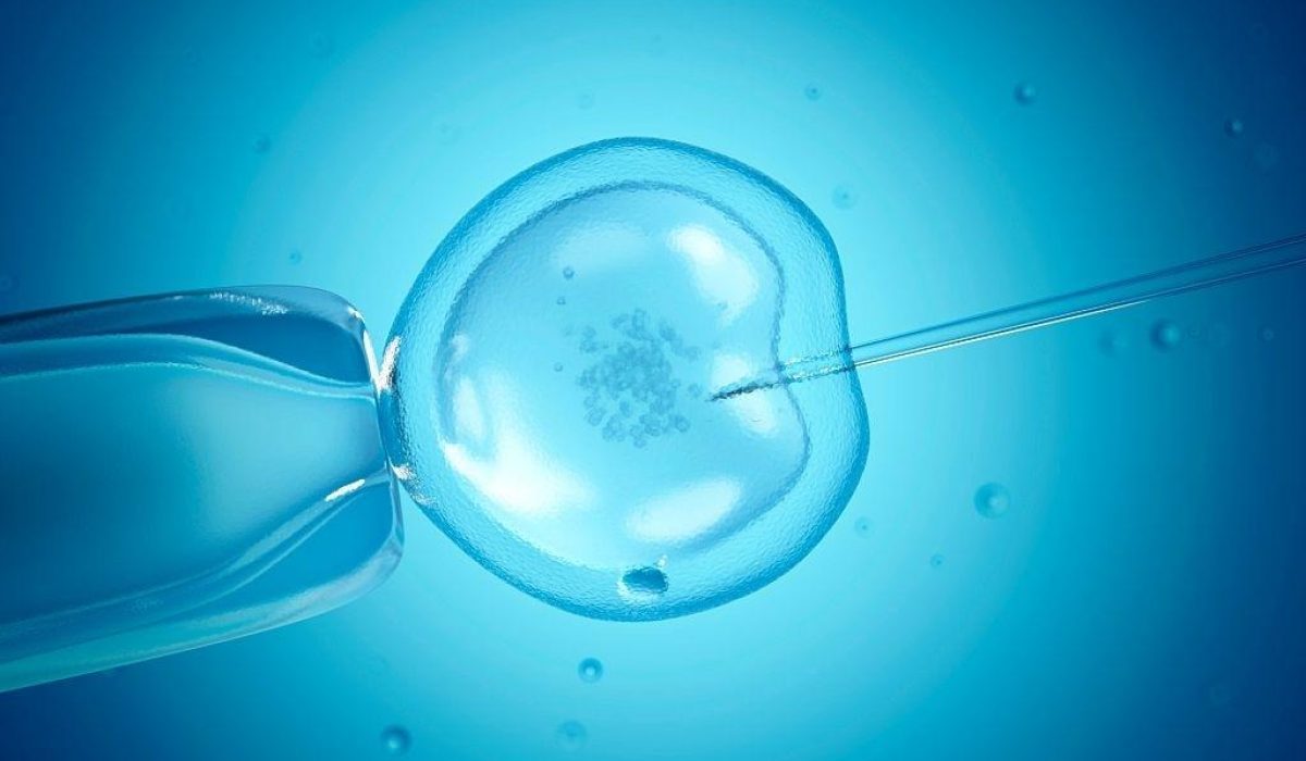 In vitro fertilisation (IVF), computer illustration.