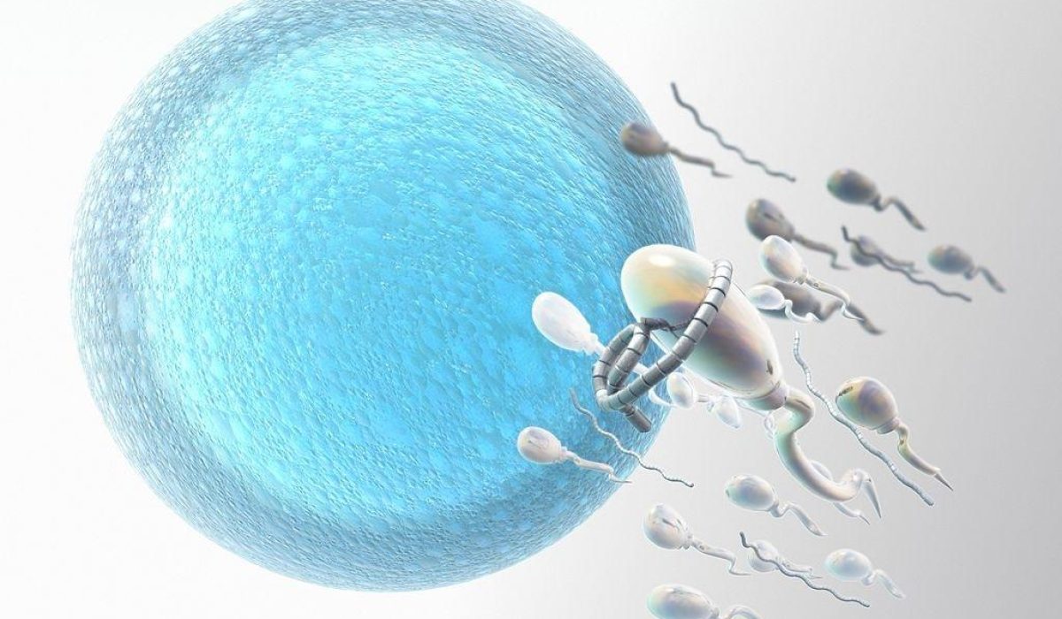 Computer artwork of medical nanorobots aiding the fertilization of an ovum by sperm.